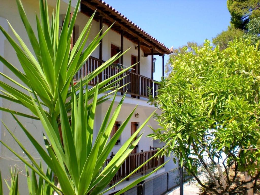 Olympion Apartments Stafylos Exterior foto